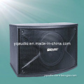 200W Popular Karaoke Speaker/DJ Speaker (OK-10B)